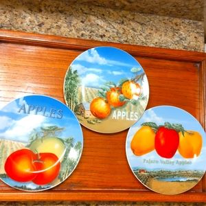 Pajaro Valley Hor d'oeuvre Appetizer Dessert Salad Plates I Godinger & Co.